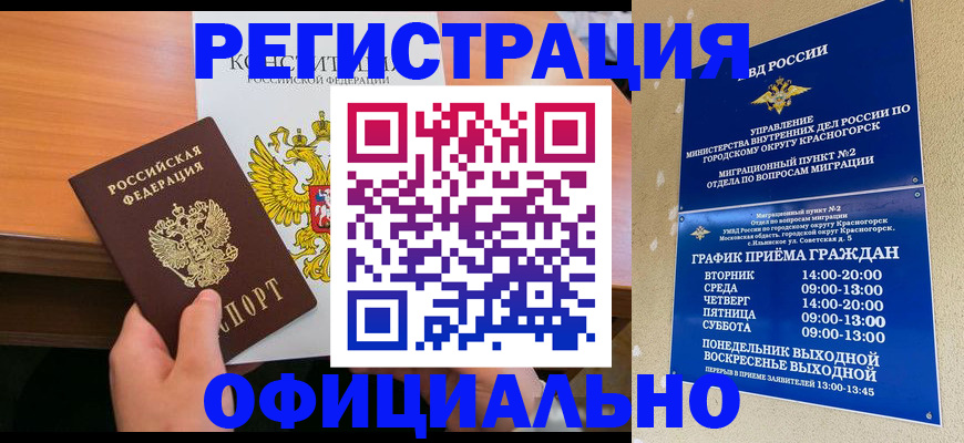 временная регистрация для всех в Палласовке